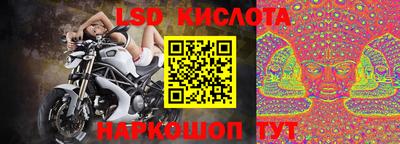 PSILOCYBIN Гатчина