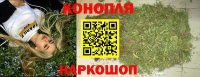 PSILOCYBIN Гатчина