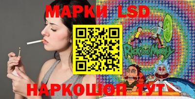 PSILOCYBIN Гатчина