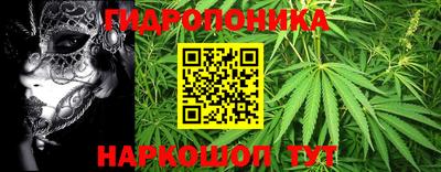 PSILOCYBIN Гатчина