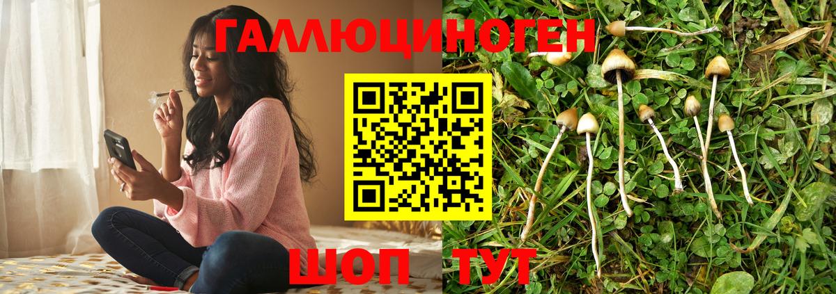 Нижневартовск  Псилоцибиновые грибы Psilocybine cubensis  Вход с VPN 