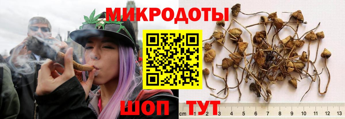 Галлюциногенные грибы мухоморы Нижневартовск