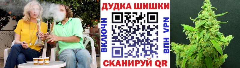 Бошки Шишки MAZAR  Нижневартовск 